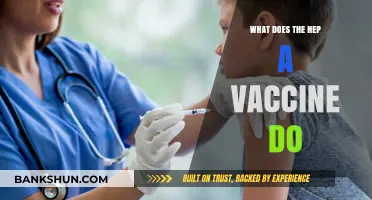 Understanding Hepatitis A: How the Vaccine Protects Your Liver Health