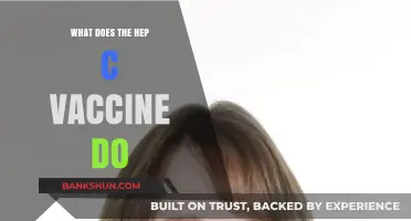 Understanding Hepatitis C Vaccine: How It Works and Protects Against Infection