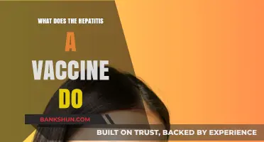Hepatitis A Vaccine: How It Protects Against Liver Infection