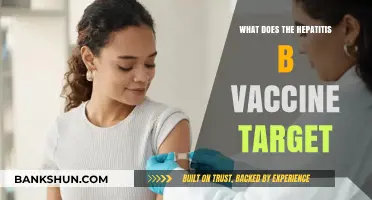 Understanding Hepatitis B Vaccine: Targeting the Virus and Preventing Infection