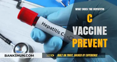 Hepatitis C Vaccine: Preventing Liver Damage and Chronic Infections