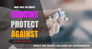 Understanding the Herpes Vaccine: Protection, Prevention, and Potential Benefits
