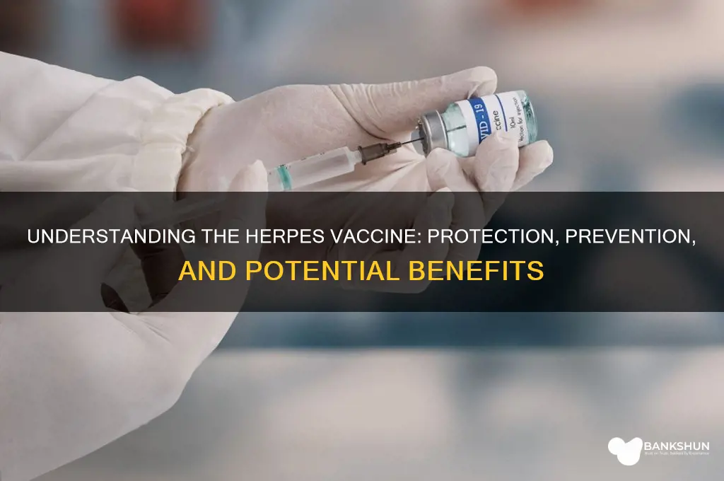 what does the herpes vaccine protect against