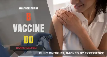Understanding the HP-B Vaccine: Benefits, Function, and Importance Explained