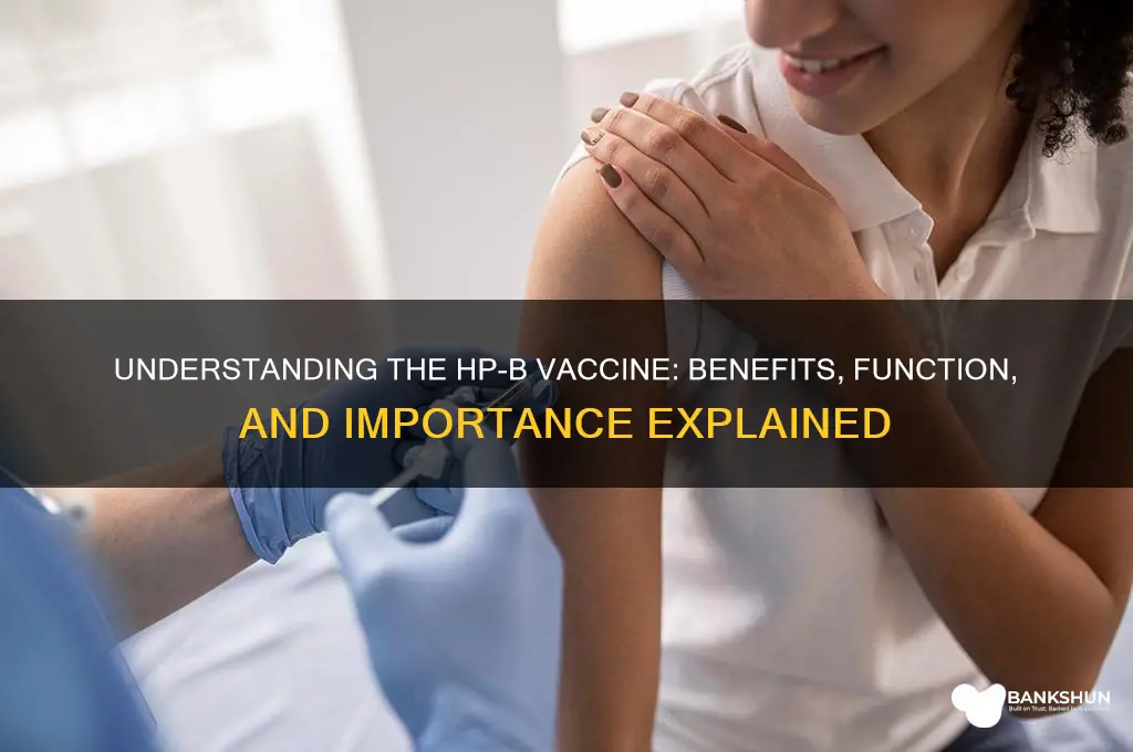 what does the hp b vaccine do