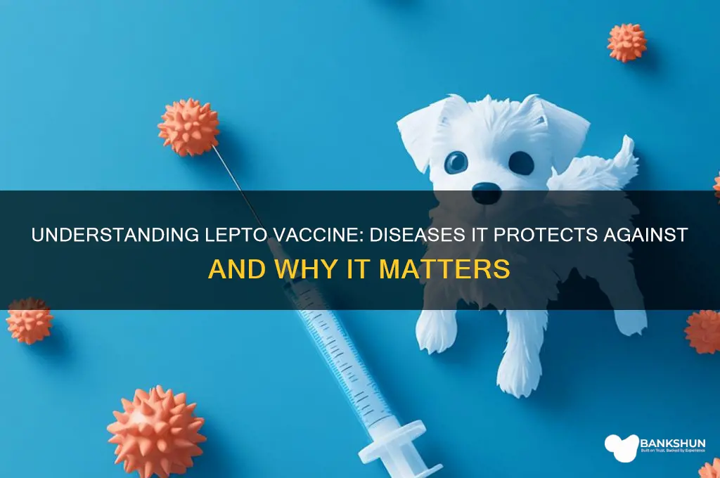 what does the lepto vaccine protect against