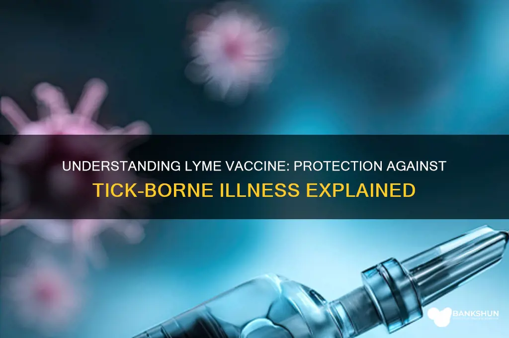 what does the lyme vaccine protect against
