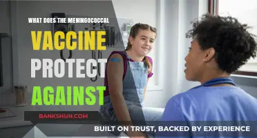 Meningococcal Vaccine: Shielding Against Deadly Bacterial Meningitis and Sepsis