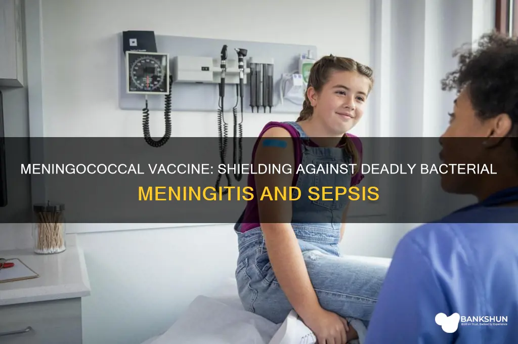 what does the meningococcal vaccine protect against