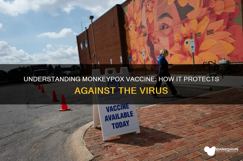 what does the monkey pox vaccine do