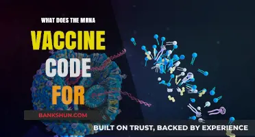 Decoding mRNA Vaccines: Understanding the Genetic Instructions They Deliver