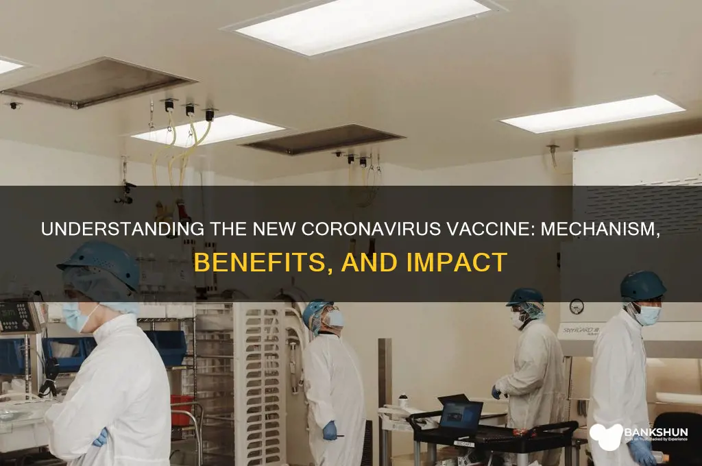 what does the new coronavirus vaccine do