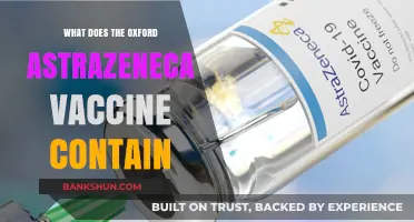 Oxford AstraZeneca Vaccine Ingredients: A Detailed Breakdown of Its Components