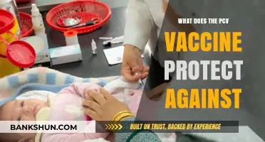 PCV Vaccine: Shielding Against Pneumococcal Diseases and Infections