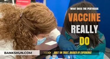 Understanding the Pertussis Vaccine: How It Protects Against Whooping Cough