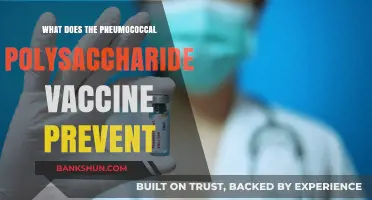 Preventing Pneumococcal Infections: Understanding the Polysaccharide Vaccine's Protection