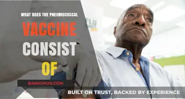 Understanding the Pneumococcal Vaccine: Components and Their Role in Protection