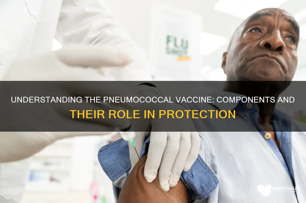 what does the pneumococcal vaccine consist of