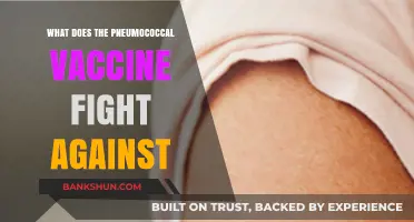 Pneumococcal Vaccine: Protecting Against Deadly Bacterial Infections and Pneumonia