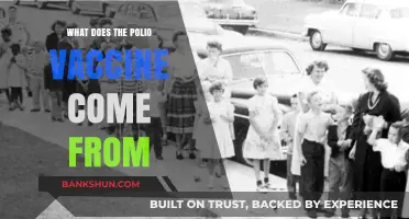 The Origin of the Polio Vaccine: A Scientific Breakthrough Explained