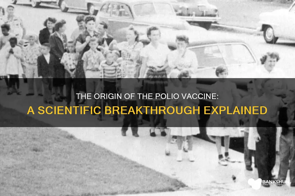 what does the polio vaccine come from