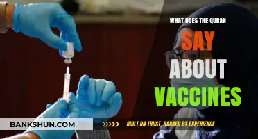 Quranic Guidance on Vaccines: Health, Faith, and Responsibility Explored