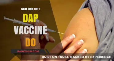 Understanding the Tdap Vaccine: Benefits, Protection, and Importance Explained