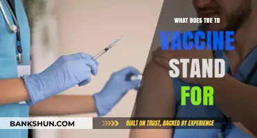 Understanding the TD Vaccine: What Does TD Stand For?