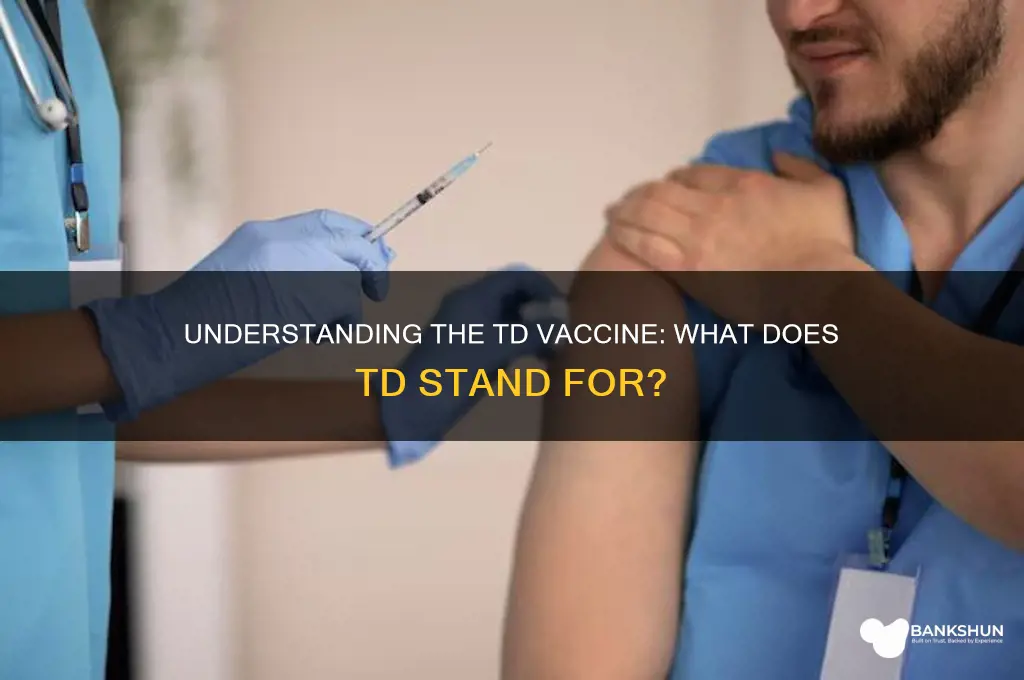 what does the td vaccine stand for