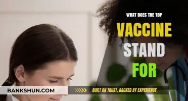 Understanding the TDP Vaccine: Meaning, Purpose, and Importance Explained
