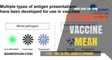 Understanding Attenuated Vaccines: Definition, Mechanism, and Importance Explained