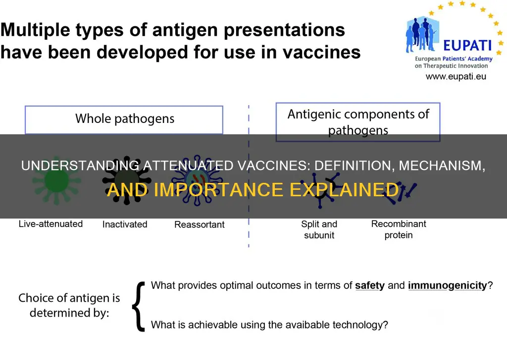 what does the term attenuated vaccine mean