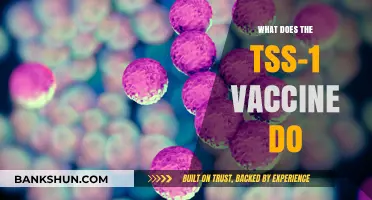 Understanding TSS-1 Vaccine: Benefits, Mechanism, and Potential Impact Explained