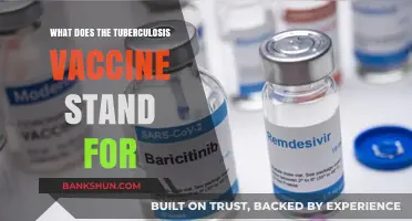 Understanding the Tuberculosis Vaccine: Purpose, Protection, and Global Impact