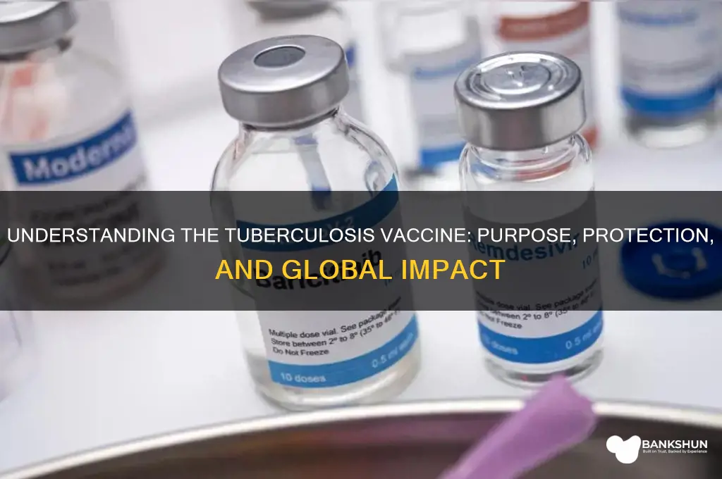 what does the tuberculosis vaccine stand for