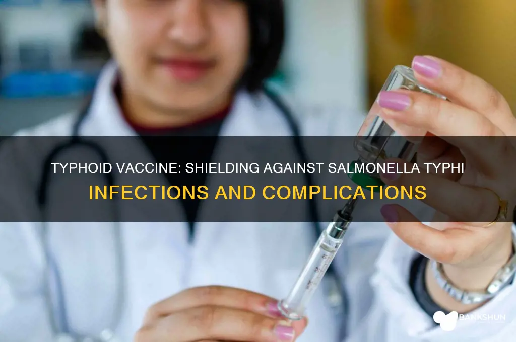 what does the typhoid vaccine protect against