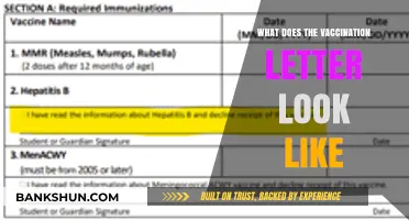 What Does a Vaccination Letter Look Like? A Visual Guide