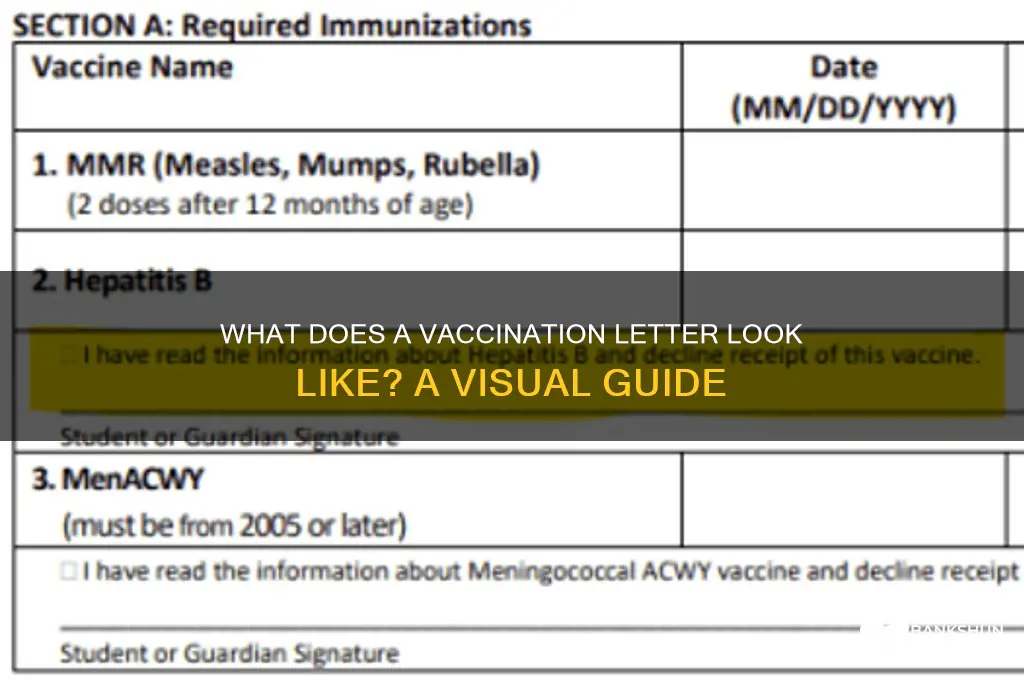what does the vaccination letter look like