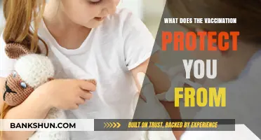 Vaccination Protection: Understanding Diseases Prevented by Immunization