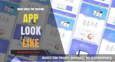 Exploring the Design and Features of the Vaccine App Interface