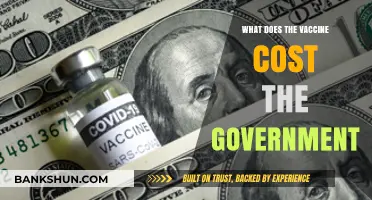 Understanding the Financial Burden: Government Vaccine Costs Explained