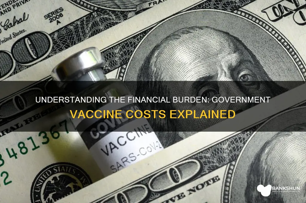 what does the vaccine cost the government