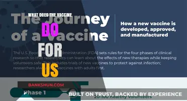 Understanding Vaccines: How They Protect and Strengthen Our Immune System
