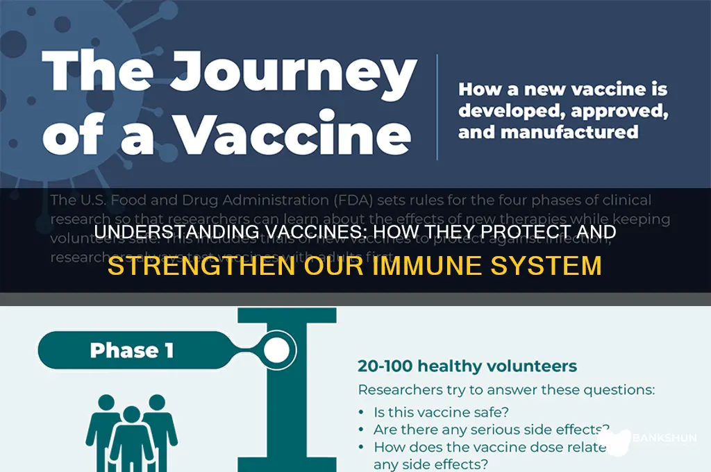 what does the vaccine do for us