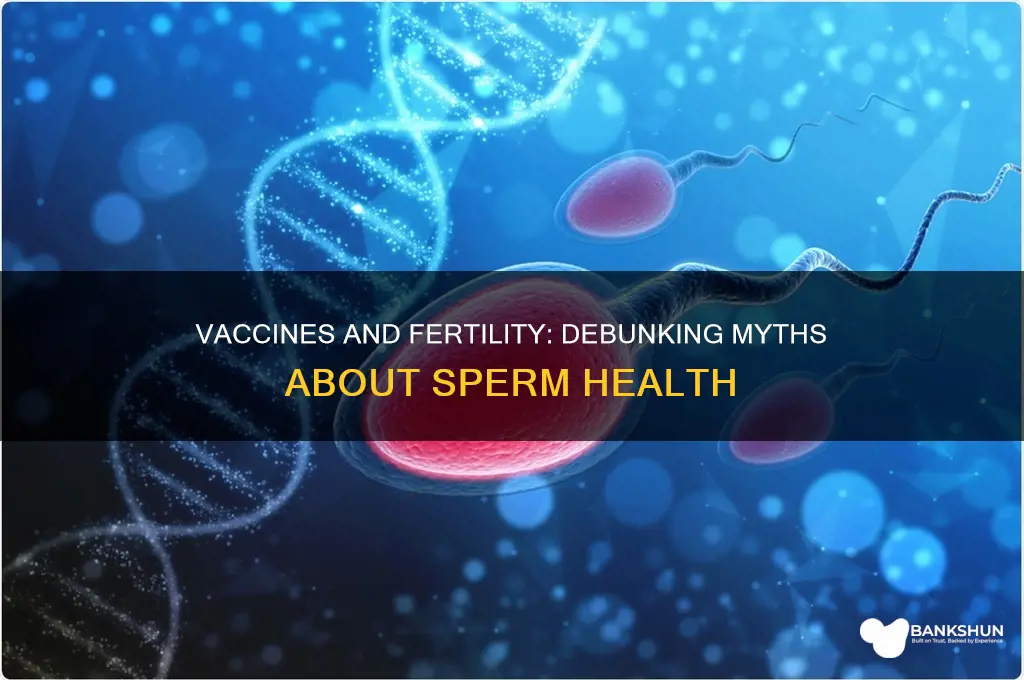 what does the vaccine do to sperm