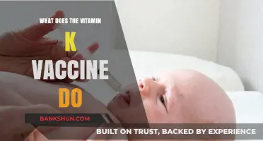 Understanding the Vitamin K Vaccine: Benefits, Uses, and Importance for Newborns