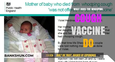 Understanding the Whooping Cough Vaccine: Protection, Benefits, and Importance
