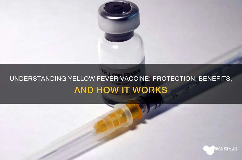 what does the yellow fever vaccine do