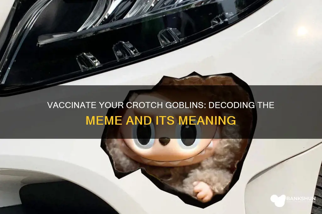 what does vaccinate your crotch goblins mean