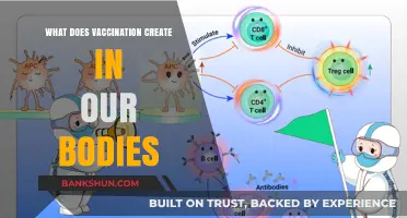 How Vaccines Build Immunity: Understanding the Body's Defense Mechanism